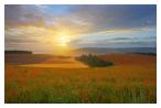 slides/Poppy Field Sunrise.jpg sunrise, poppies,south downs national park,amberly,houghton,bury hill,mist,clouds Poppy Field Sunrise